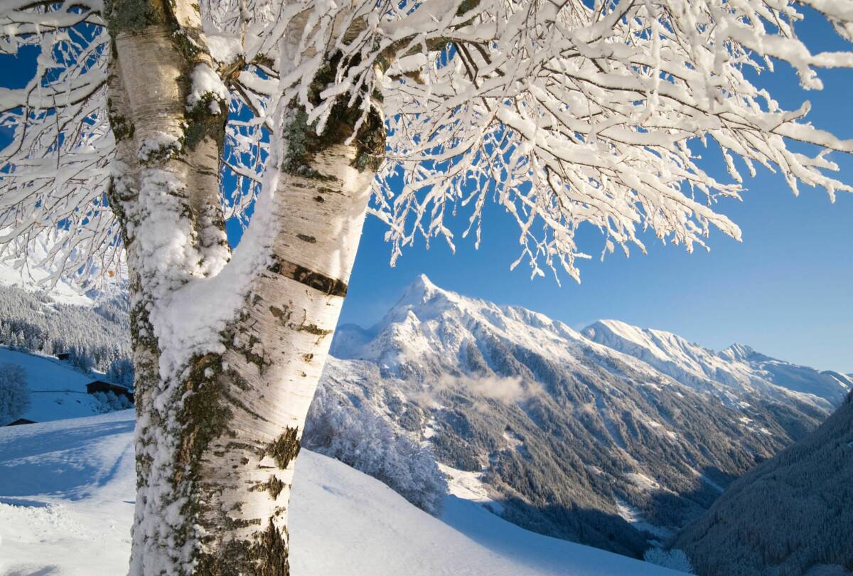 Mayrhofen Zillertal